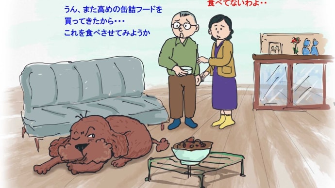 モコ助の咳と体調のこと