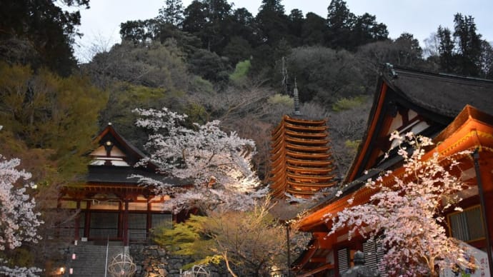 ☆談山神社 * 夜桜ライトアップをしていました