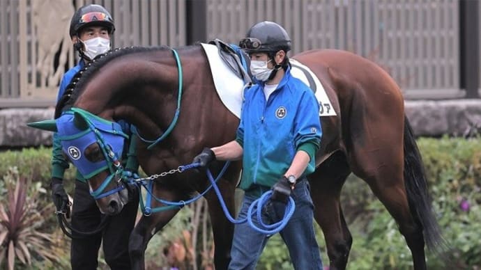 【カイザーノヴァ】大きなダメージ無く、12/11中山12R続戦を視野に…