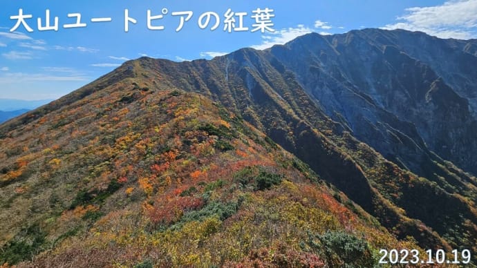 大山ユートピアの紅葉 10月19日