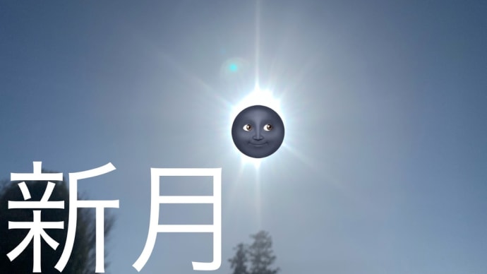 私が新月を意識する時、新月もまた私を意識している、私が深淵を覗く時、深淵もまた私を覗いている、新月は太陽と月だけど、私の中の鏡の私の意識の投影、世界や社会は私のイメージの投影を私自身で感じているだけ