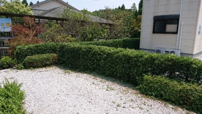 朝一から