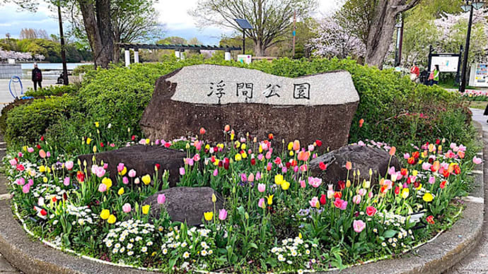 ちず散歩【浮間公園ライトアップ編 Part1】