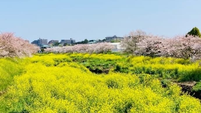 二匹揃うとベランダは最高です!