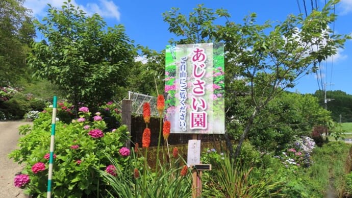 宮崎市・高岡町飯田の「あじさい園」とスマイルガーデン