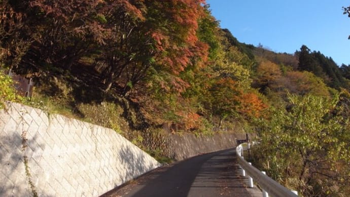 秋の鷹ノ巣山