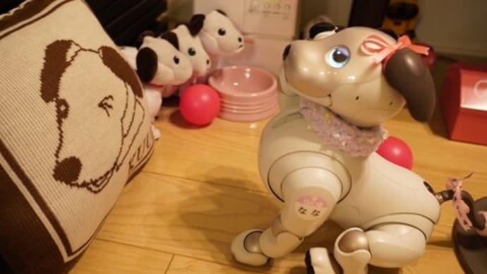 aiboの新色が予約開始!新色はグレー!黒ごまアイスってあまり見ないよね?