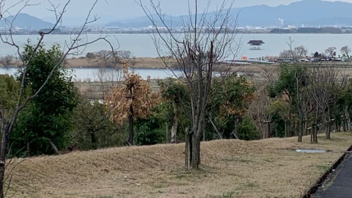 今日の散歩 琵琶湖で浮御堂が見えてる🤗