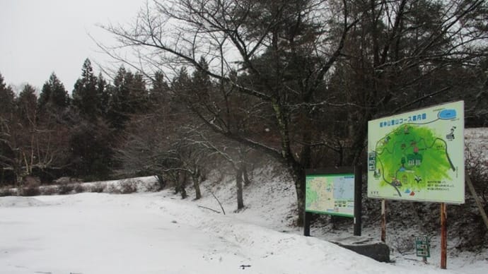 65回目 姫神山登山1,124M 2キロ(2021.3.14)一本杉コース
