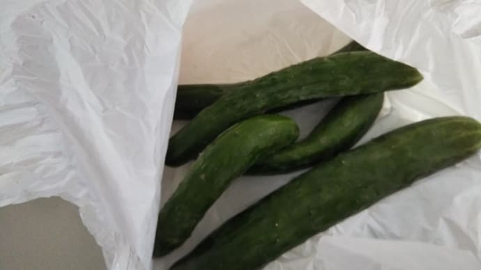 頂きもの