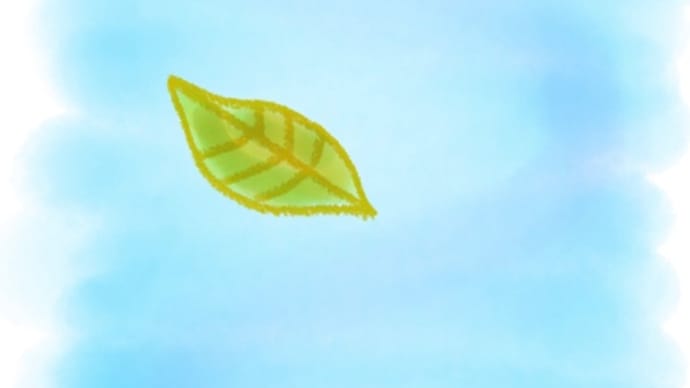今日は風が強いので
