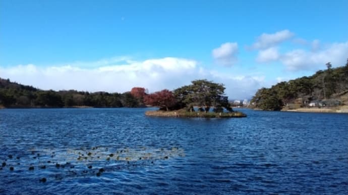 晴れの土曜日