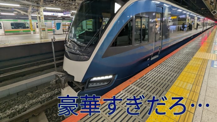 【乗車記】JR東日本の豪華観光列車　サフィール踊り子4号に乗車する様子。