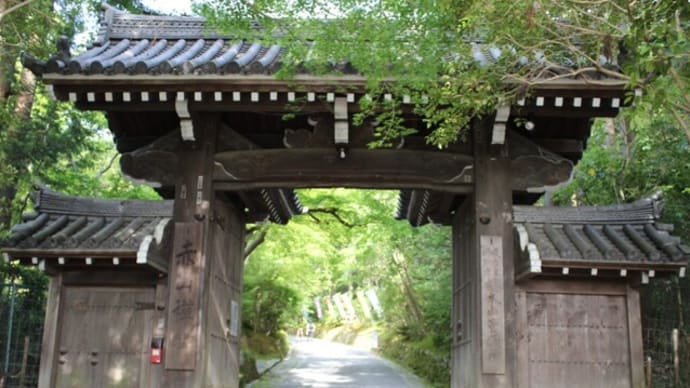 京都 青モミジ100シリーズの隠れ赤山禅院