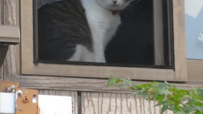 日常
