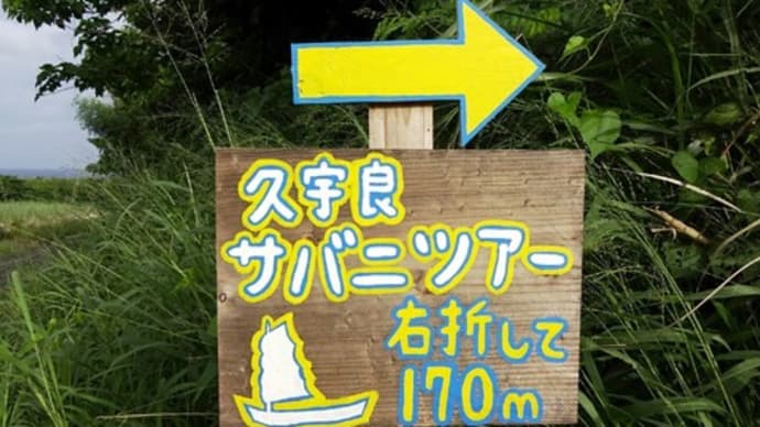 22・11 石垣島 6日目