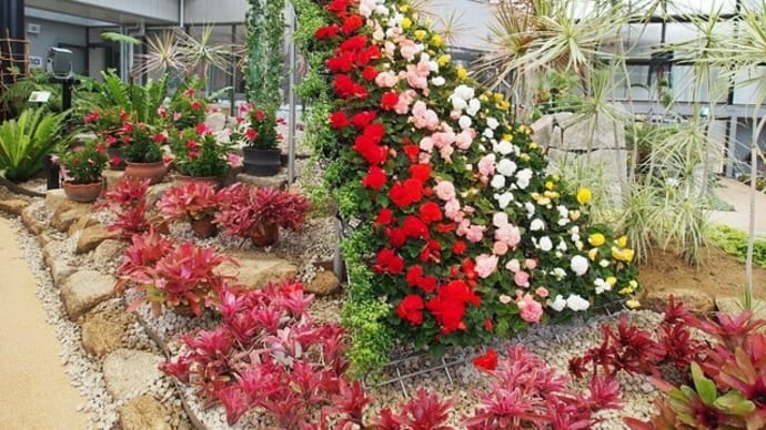 「マツコの知らない世界」に花の滝・立体花壇登場!!