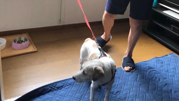 侵入禁止ですが！