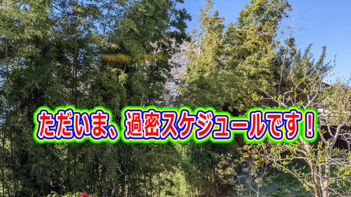 ただいま、過密スケジュールです!
