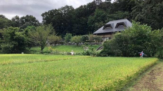 谷戸山公園 & 今日のトレーニング