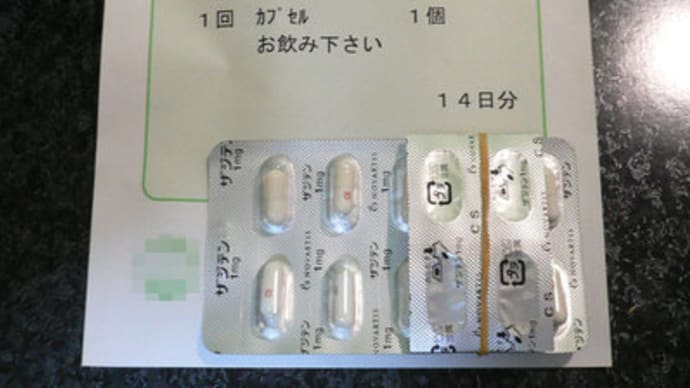 2011年 花粉の陣