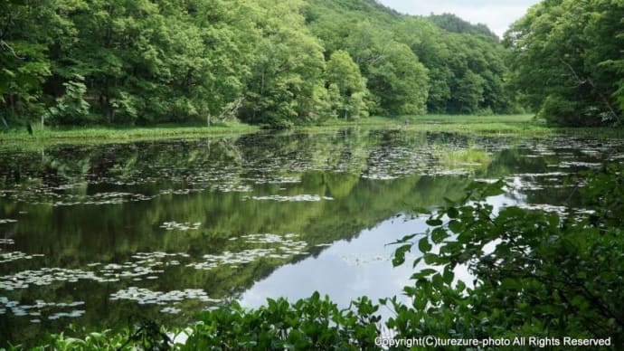 2022 矢ノ原湿原(福島県昭和村)・日本で2番目に古い湿原(