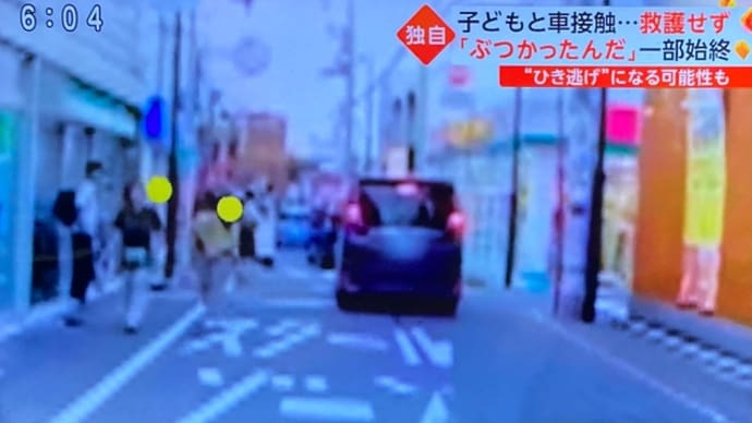 神奈川で馬鹿餓鬼が車道に飛び出してワゴン車に打つかる