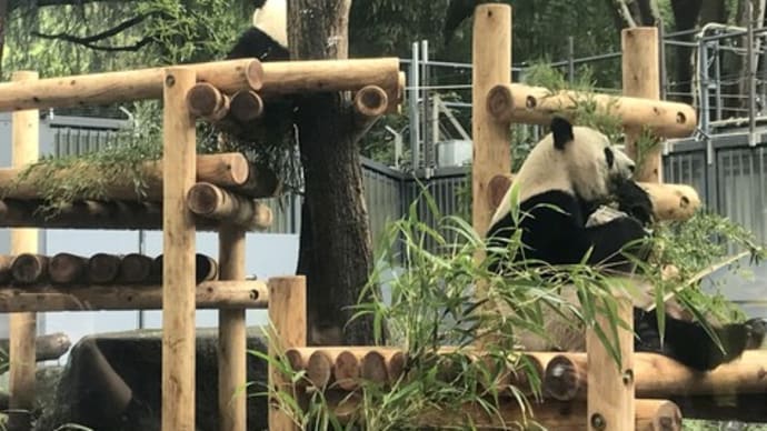 台風前に元気をチャージ