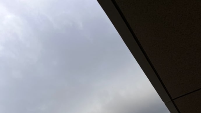 龍が天から降りてきた⁉︎((((;゚Д゚)))))))