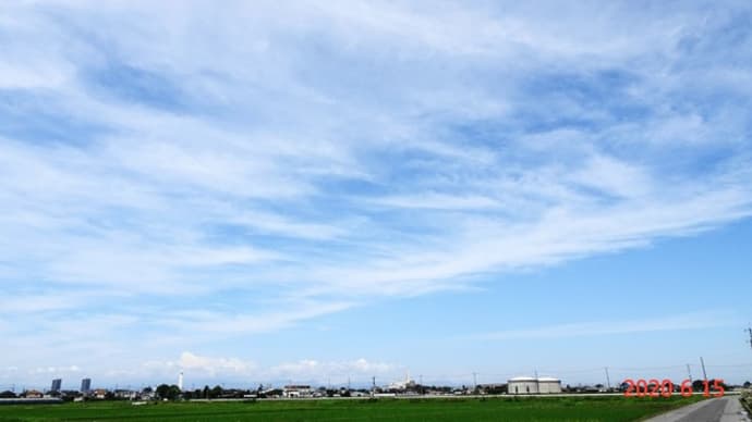 あじさい街道(富士見市)