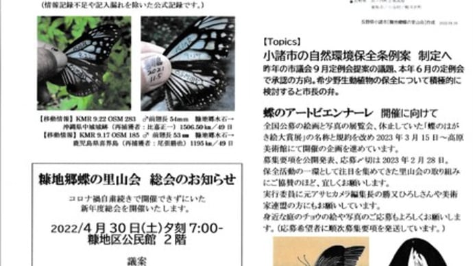 蝶の里山通信 4月号