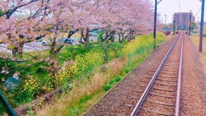 岳南電車公式「岳南電車でお花見!2019」