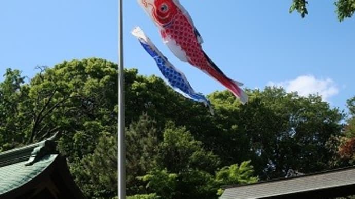 大宮八幡宮の鯉のぼり