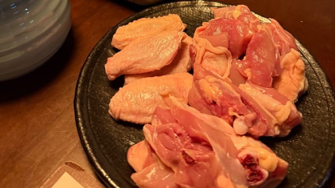 念願の水炊き、初めての水炊き。