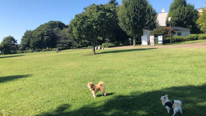 公園にお散歩