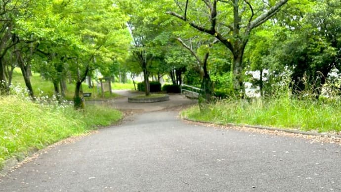 荒山公園