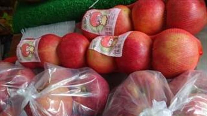 相模原・地場産リンゴ~千秋 少し入荷