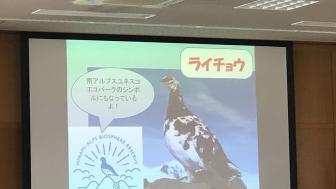 南アルプスの秘話