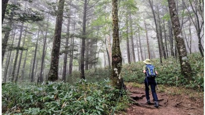 信州・花の入笠山 ’24