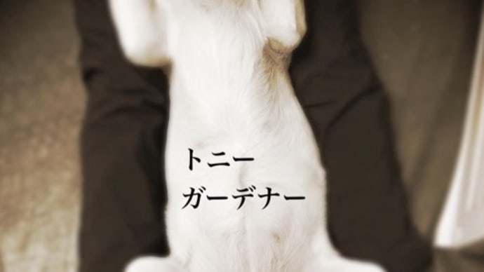 次の土曜日です!7月15日はトニーガーデナー含む4組で弾き語り対バンライブ!@シックスパインズサンドウィッチズ