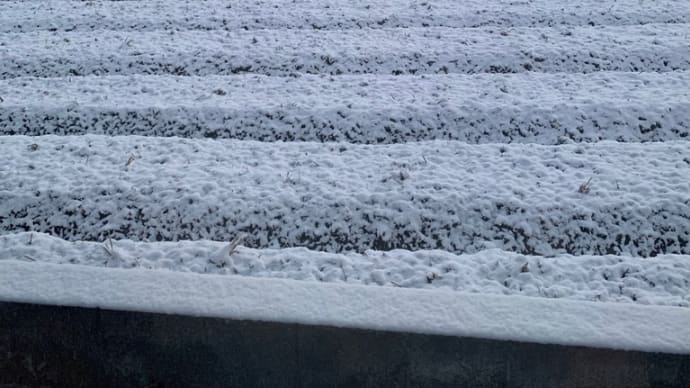 大寒波の雪景色