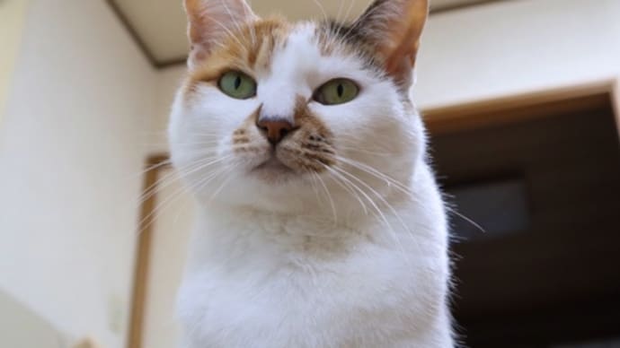 ヒーターの前で・・・