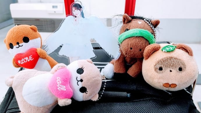 【✈️きょうから出張🎵】🎂🍧🍉唯涼祭&🐴TCK😆😆😆