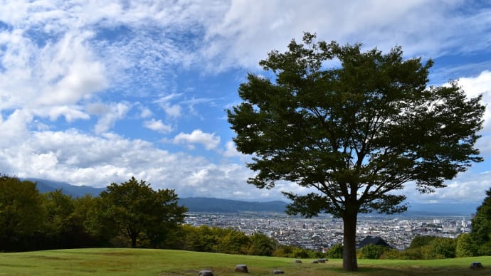 ９月の丘、木のある風景。