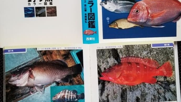 釣り魚カラー図鑑と釣りバカ日誌