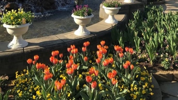 真冬の ふなばしアンデルセン公園