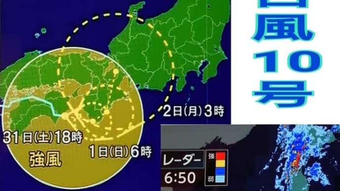 8/31(土)〚アオマツムシ〛秋の虫乱入〜ゴールド・フィンガー
