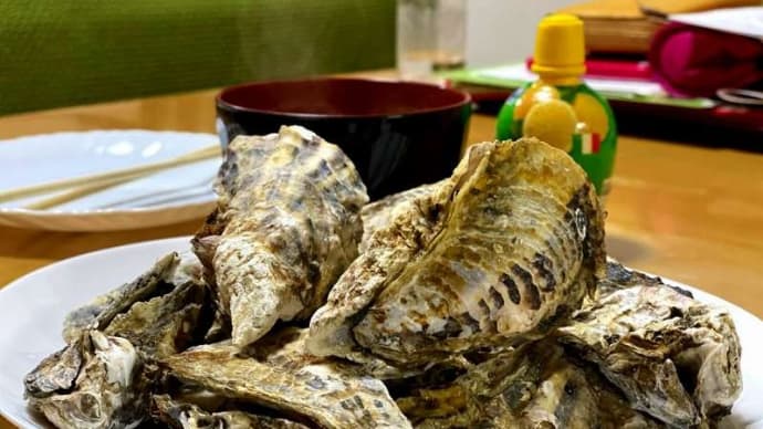 寄島産「生牡蠣殻付き」をマルナカで買ってきて、たらふくいただきました、いいねぇ、海のミルク、うまい!