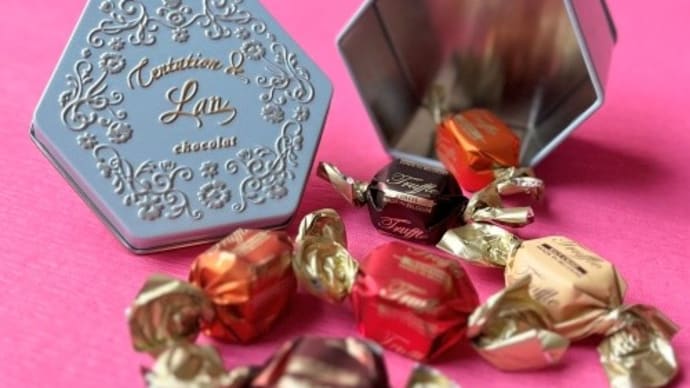 ベルギー直輸入チョコレート『Tentation de Lan（タンタシオン・デュ・ラン）』