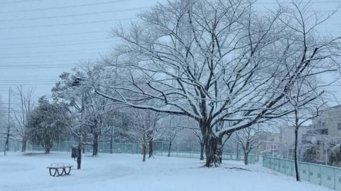 東京の雪を見ながら・・・